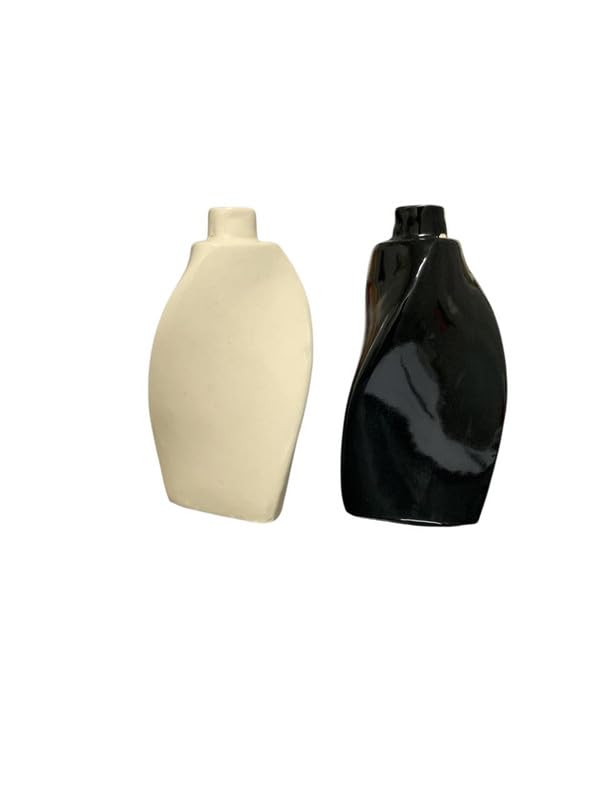 Vibhsa Elegant Ceramic Flower Vase