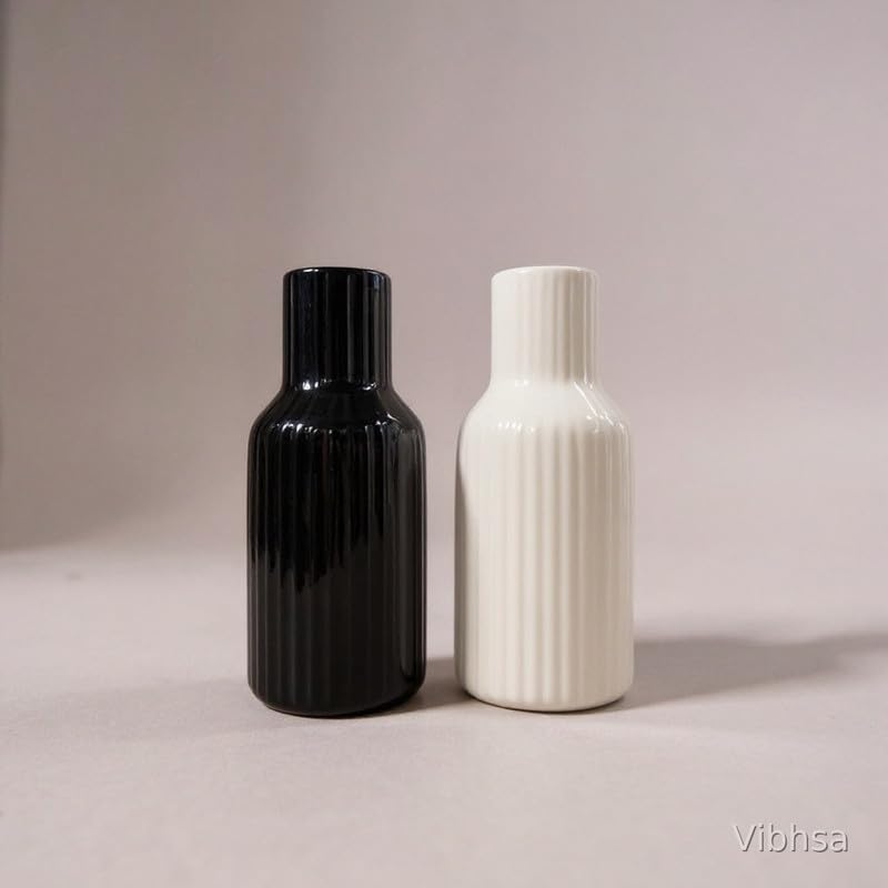 Vibhsa Ribbed Ceramic Vase Set of 2 – Black & White
