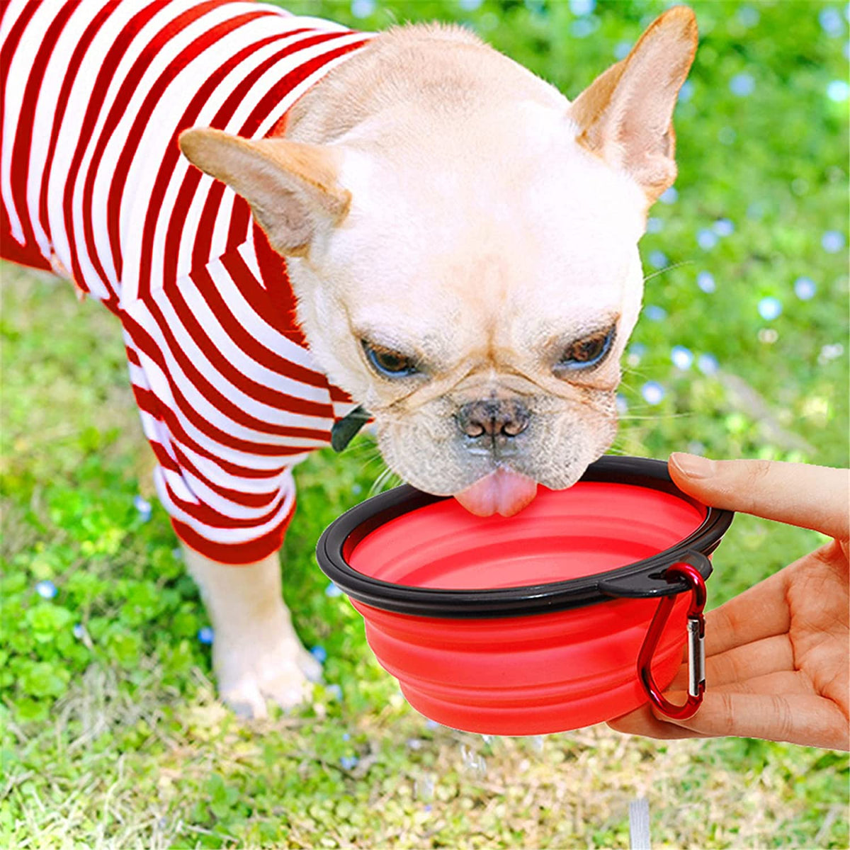 5" Portable and Foldable Small Dog Bowl-Red set of 5