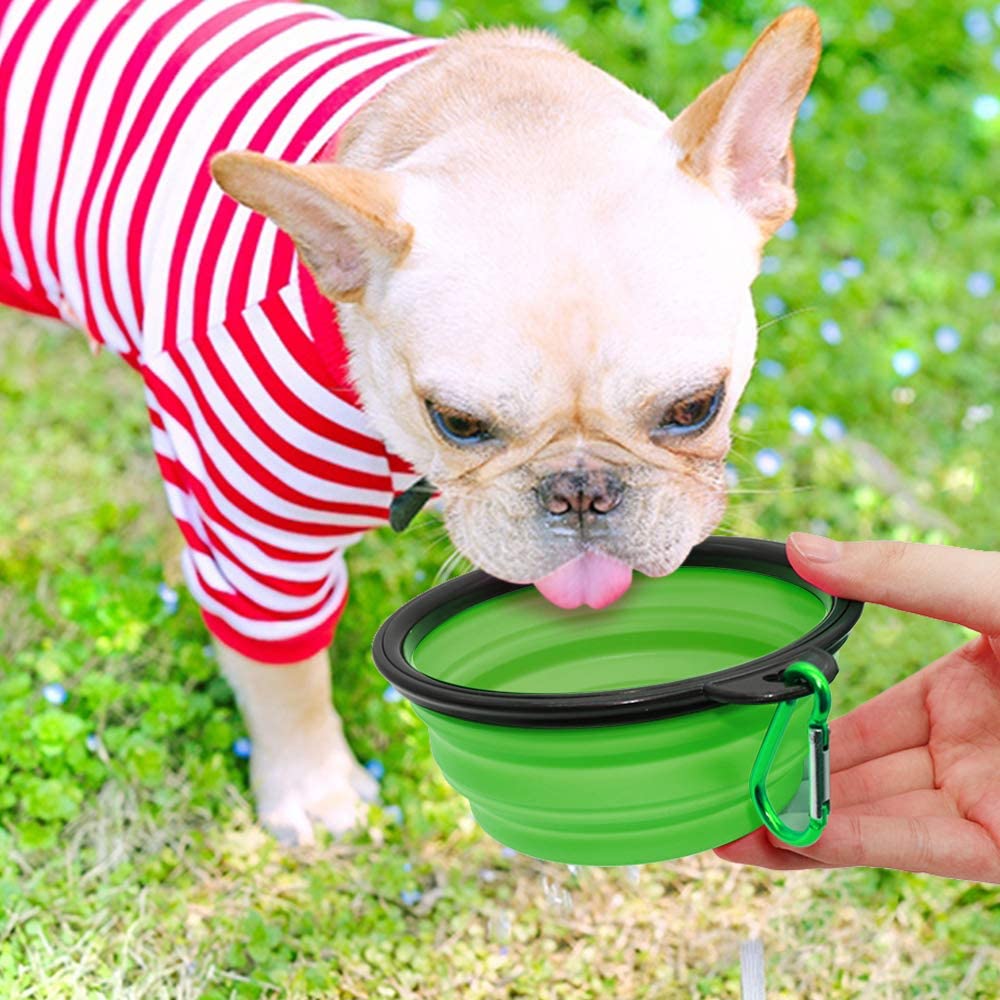 5" Portable and Foldable Small Dog Bowl-Green set of 5