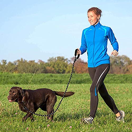 Fido N Feline 6 ft Padded Rope Dog Leash for Medium and Large Dogs - Purple