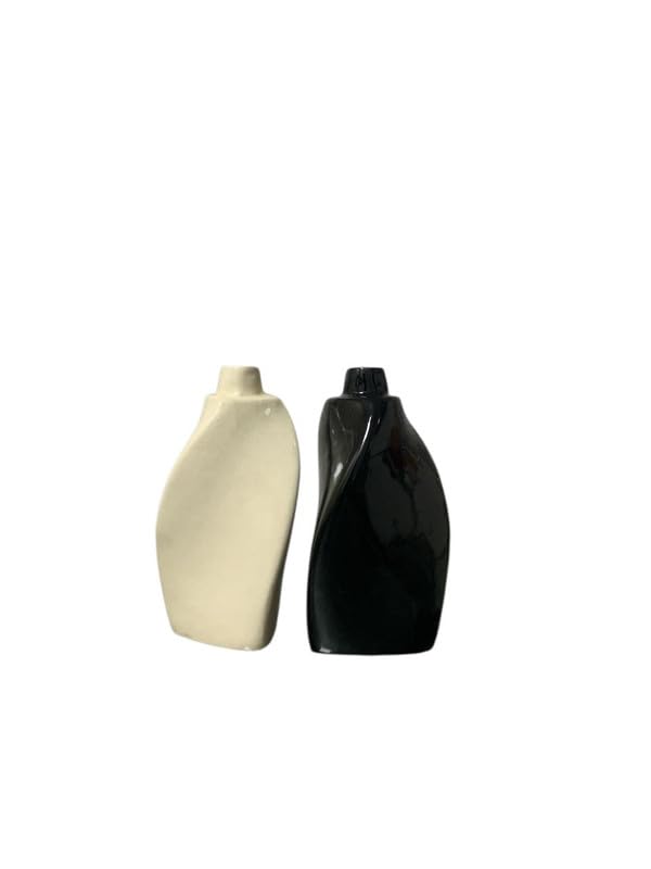 Vibhsa Elegant Ceramic Flower Vase