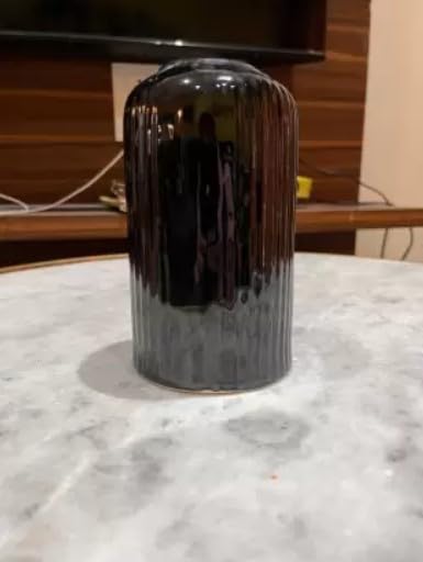 Vibhsa Black Ceramic Flower Vase for Living Room