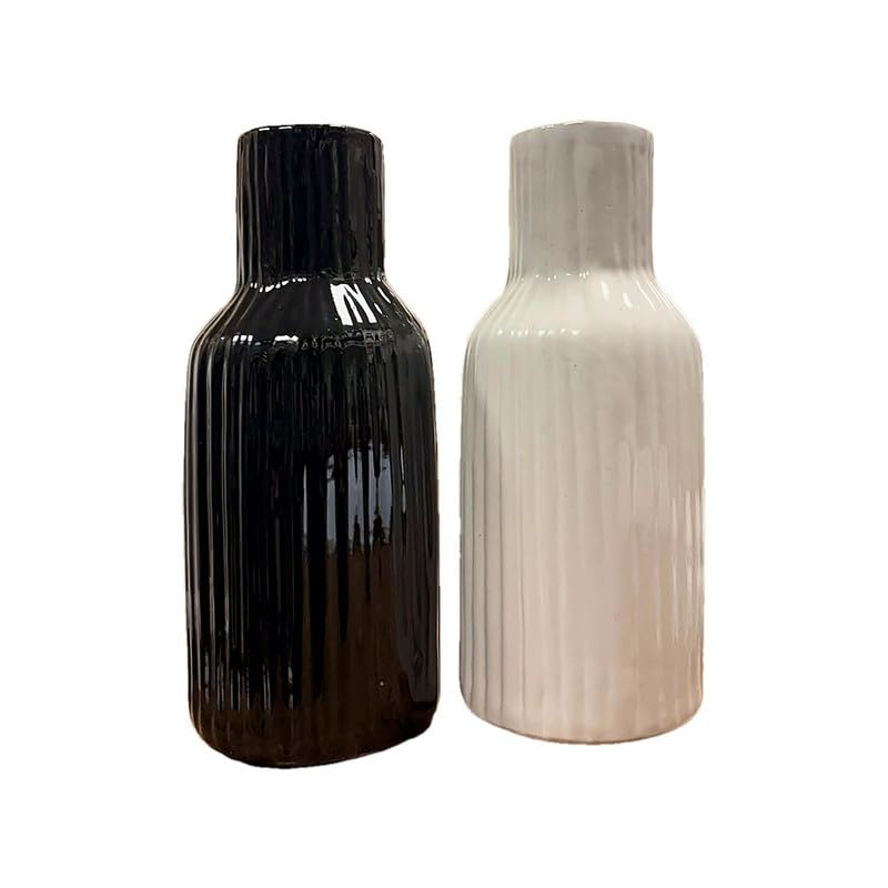 Vibhsa Ribbed Ceramic Vase Set of 2 – Black & White