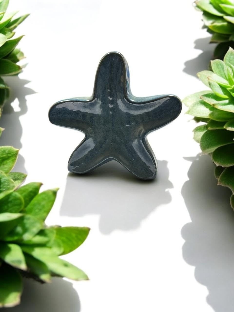 Vibhsa Ceramic Starfish-Shaped Flower Pot for Home & Office Décor