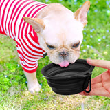 5" Portable and Foldable Small Dog Bowl-Black (5 Pieces)