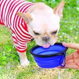 5" Portable and Foldable Small Dog Bowl-Blue (set of 5)