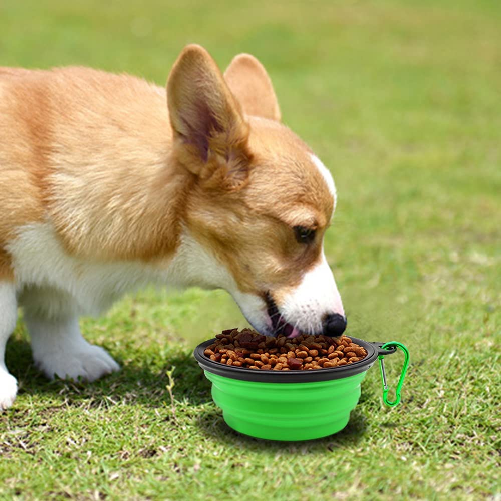 5" Portable and Foldable Small Dog Bowl-Green set of 5