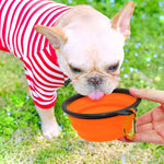 5" Portable and Foldable Small Dog Bowl-Orange set of 5