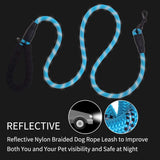 6 FT Dog Leash for Large and Medium Dogs-Blue set of 5