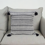 22" X 22" Throw Pillow for couch with Tassels-Winter