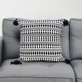 22" X 22" Throw Pillow for couch with Tassels-Winter