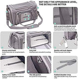 Airline Approved Pet Carrier Bag (Grey) 20"