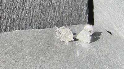 brilliant cut trillion earrings studs for women sterling silver moissanite