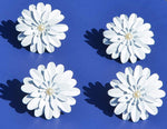 Vibhsa White Floral Set of 4 Napkin Rings