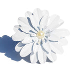 Vibhsa White Floral Set of 12 Napkin Rings